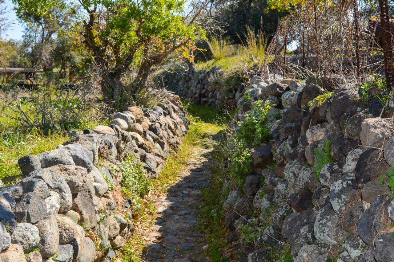 度假居 Palaiokastro Traditional House Mandraki (Nisyros)
